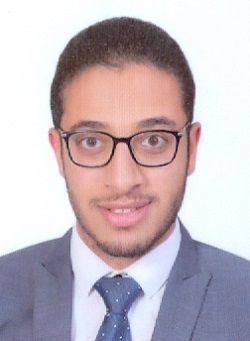 محمد احمد عبدالعزيز