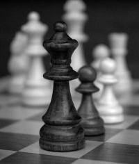 مسابقة شطرنج - 2012/2013